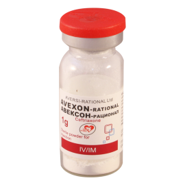 Avexon-Rational 1 g powder for inj №50 vials